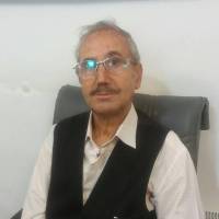 محمد حسین الوان پروفایل