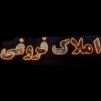 صالحی پروفایل