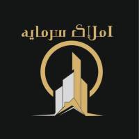 مشاور حمید نظری پروفایل