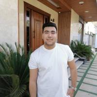 اسکندری پروفایل