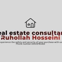 سید روح اله حسینی پروفایل