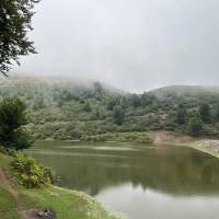 بابائی پروفایل