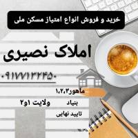امین نصیری پروفایل