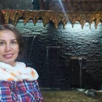بیتا زرگرچی  پروفایل
