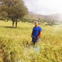 سعید اژدری پروفایل