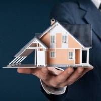 نوید شوروزی پروفایل