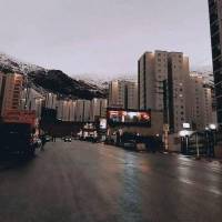 خانم مقدم پروفایل