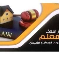 خانم مقدم پروفایل