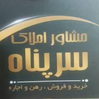حسین لالوی پروفایل