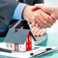  هادی معین الدینی  پروفایل