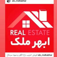 حسام الدین پروفایل