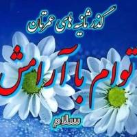 آقاجانی پروفایل