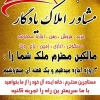 رسول توکلی پروفایل
