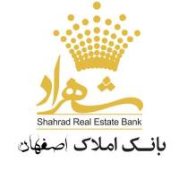 امیر کریم نژاد پروفایل