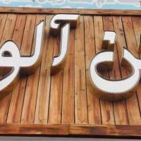 امیر دولت دوست پروفایل