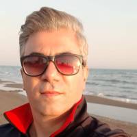 علی گودرزی  پروفایل