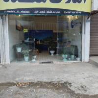 اشکان شمس ناتری پروفایل