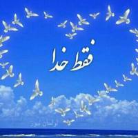 علیمهدی ناطق پروفایل