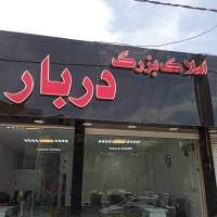 داوودی پروفایل