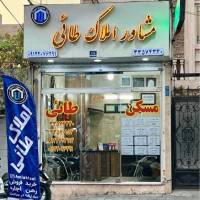 آقای طائی پروفایل