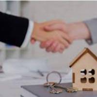 محمدرضا نیکنام  پروفایل