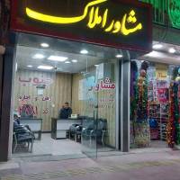 سعید دغاغله پروفایل
