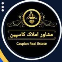 ثما شعبانی پروفایل