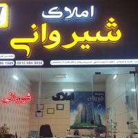 امیر شیروانی پروفایل
