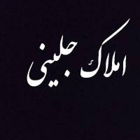 امین جلینی پروفایل