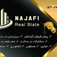 مهدی نجفی پروفایل