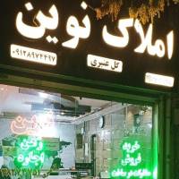 zarei پروفایل