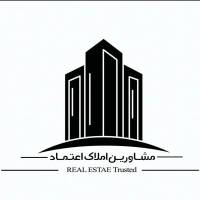 علی شاملی  پروفایل