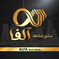 داوود سیاوش پور پروفایل