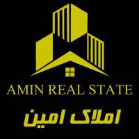امین ابراهیمی پروفایل