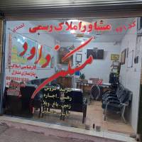 داود احمدی پروفایل