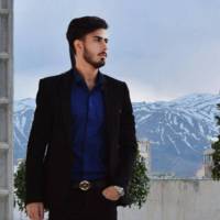 محمد امین چگنی پروفایل