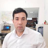 نوید میرکریمی  پروفایل