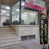 نجفی دهبالائی پروفایل