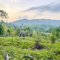 مهدی چیرانی پروفایل