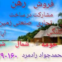 محمدجوادرادمرد پروفایل