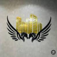 محمدرضا مردانی پروفایل