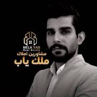 امیرامیری پروفایل
