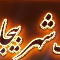 نیما حبیبی پروفایل