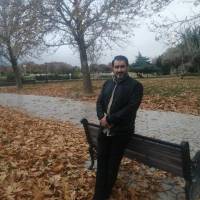 حامد اکبری پروفایل