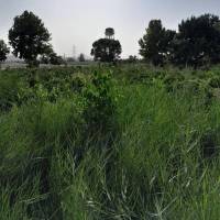 آژانس املاک نصرالهی پروفایل