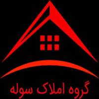 طالبیان پروفایل