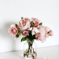 یاسمن محمدپور پروفایل