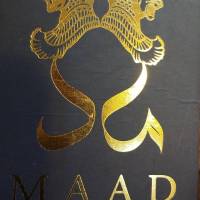 مرتضی حسینی پروفایل