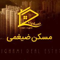ضیغمی پروفایل