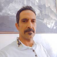 علیرضا ابراهیم نجاری پروفایل